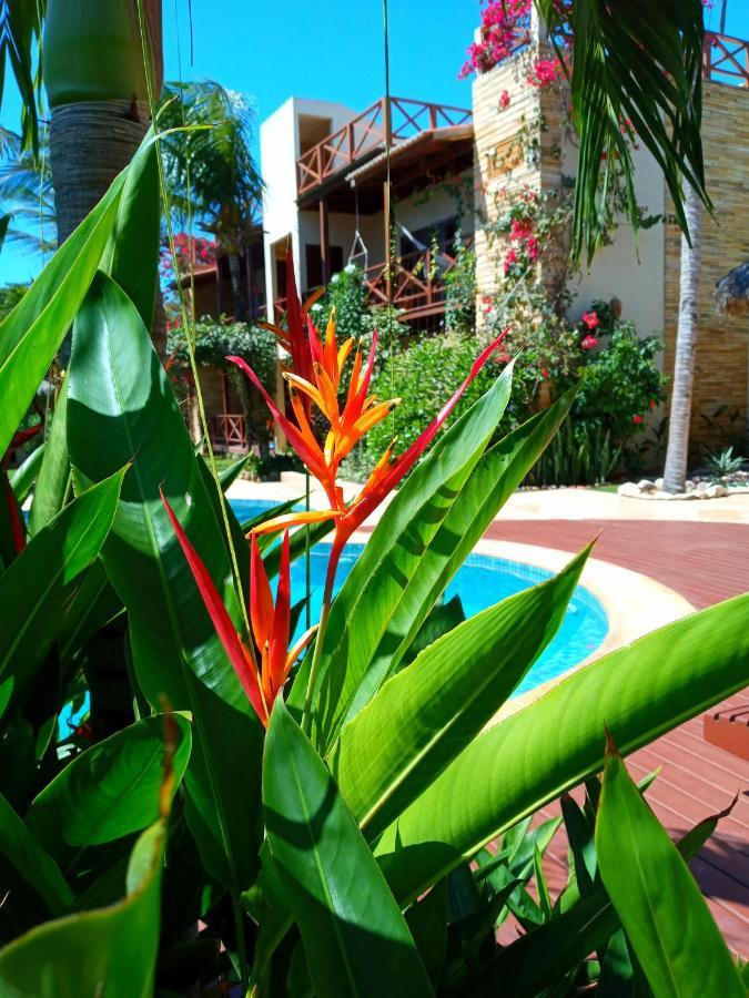 Serrote Apartamento Jericoacoara Extérieur photo